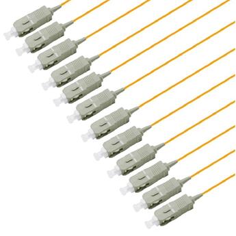PT-MM5-T9O-SCP-15-BP Fiberworks AS  Pigtail MM SC/PC 12-pack 1,5 m 50/OM2, 900µm tigh buffer, Orange