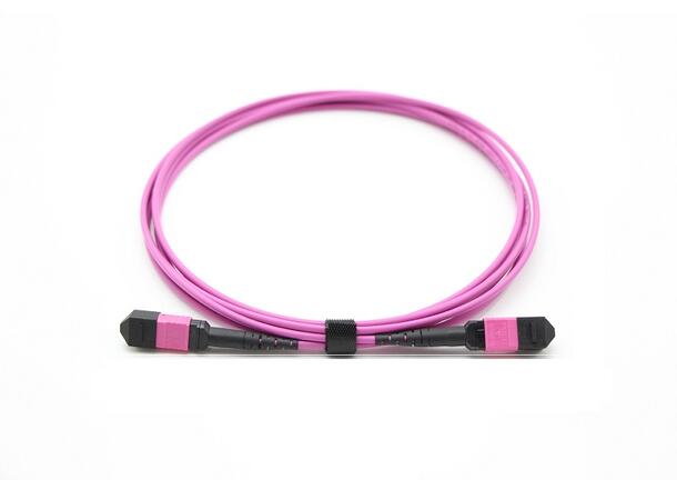 Patch MM MPO/PC12 Hann-Hunn pol A, xx m 50/OM4 BIF, Base-12 Erika Fiolett, Elite 