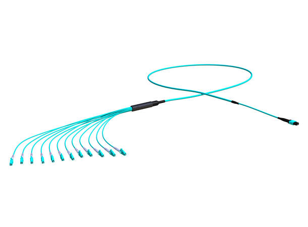 Forgrening MM MPO/PC12 hann-12x LC/PC 50/OM3 BIF ø4.5mm Aqua forsterket, Elite 