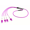 Forgrening AFL MPO8(f) - 8x LC/PC, 7 m MM 50/OM4, &#248;3mm Erika Violet