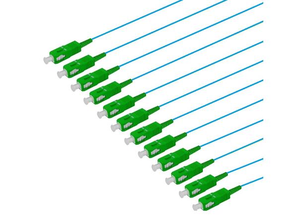 Fiberhale SM SC/APC 12-pakning, 1,5 m 9/OS2 G.657.A2, 900µm fast kledning, Blå 