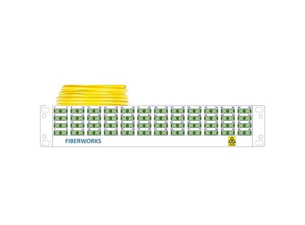Preterm panel 2U G96 QXAI MS xx m SC/APC i FP20 (2U), SC/APC ende B 