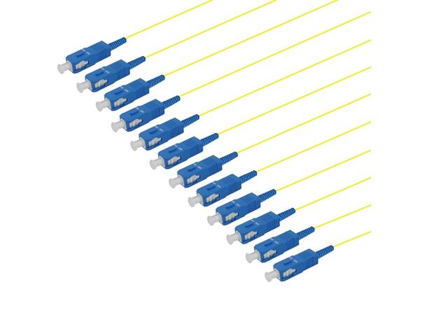 Pigtail SM SC/UPC 12-pack blister, 1,5 m G.657.A2, 900µm TB, IEC grade A, Yellow 