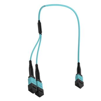 P-OM3-M3A-M2FaM1F-xx Fiberworks AS  Y-SPLIT MPO/PC24(f)-2xMPO/PC12(f) xx m MM 50/OM3 BIF, &#248;3mm Aqua, Elite