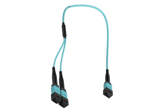 Y-SPLIT MPO/PC24(f)-2xMPO/PC12(f), 1 m MM 50/OM3 BIF, ø3mm Aqua, Elite 