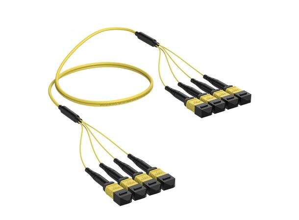 Trunk SM 4xMPO12/APC Hann-Hann Pol B x m 9/OS2 G.657.A1, 4x Base-12, Gul,  Elite 