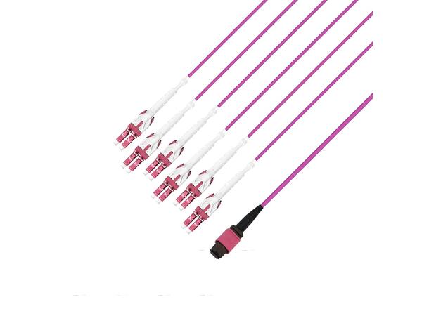 Fout MM MPO/PC12(f)-12xLC/PC pol B, xx m 50/OM4 BIF, Base-12 Erika Fiolett, Elite 