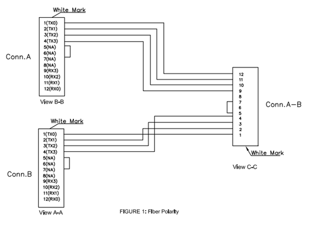 Y-SPLIT MPO/PC8(f)-2xMPO/PC4(f) xx m MM 50/OM4 BIF, ø3mm Erika Fiolett, Elite 