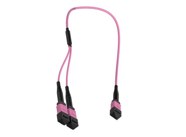 Y-SPLIT MPO/PC8(f)-2xMPO/PC4(f) xx m MM 50/OM4 BIF, ø3mm Erika Fiolett, Elite 
