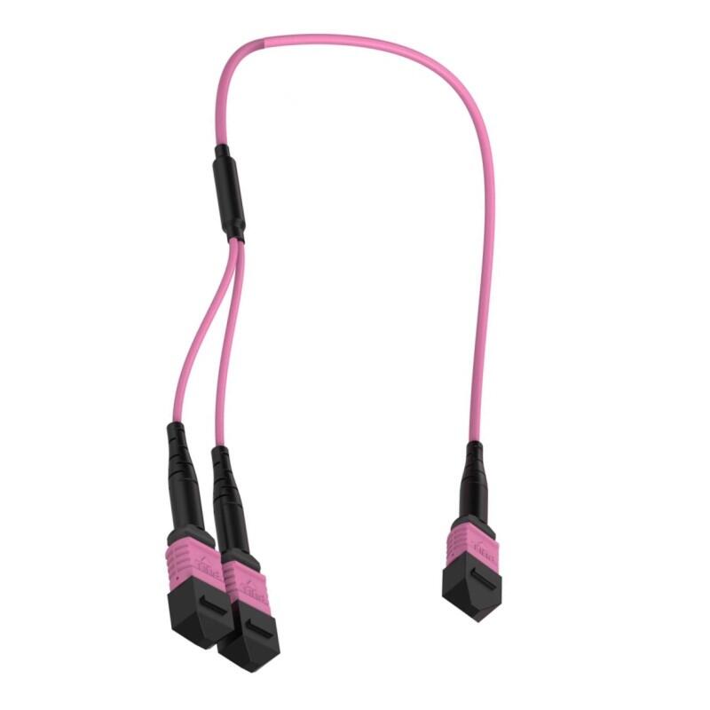 P-OM4-M3M-M8FxM4F-xx Fiberworks AS  Y-SPLIT MPO/PC8(f)-2xMPO/PC4(f) xx m MM 50/OM4 BIF, &#248;3mm Erika Fiolett, Elite