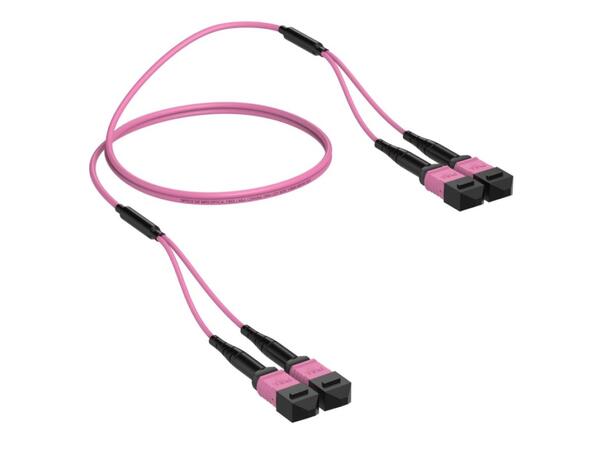 Trunk MM 2xMPO12/PC Hunn-Hunn Pol B x m 50/OM4 BIF, 2x Base-12, E.Fiolett, Elite 