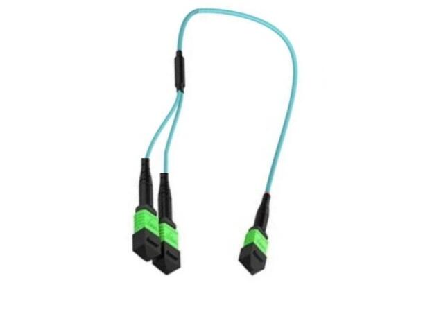 Y-SPLIT MPO/APC12(f)-2xMPO/APC4(f), 5 m 50/OM4 BIF, ø3mm E.Fiolett Pol. B, Elite 