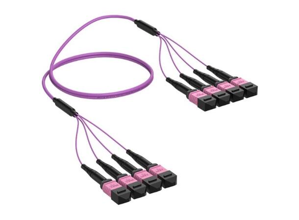 Trunk MM 4xMPO/PC12 Fem.-Fem. Pol A xx m 50/OM4 BIF, 4x Base-12, Magenta, SLL 
