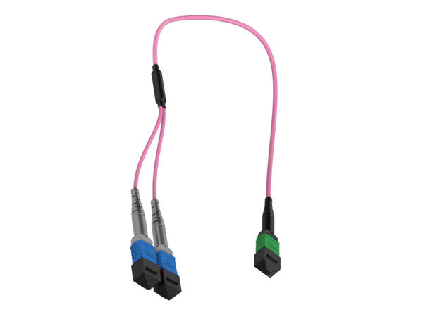 Y-SPLIT MM MPO/APC16(f)-2xMPO/PC8(f) x m 50/OM4 BIF ø3mm Erika Fiolett,  Elite 